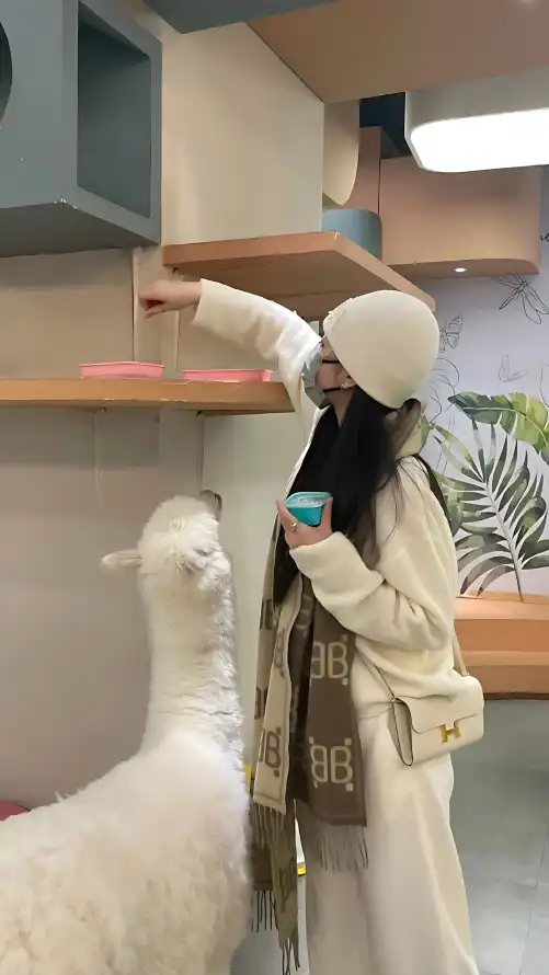 97超级碰碰碰久久久久_亚洲av综合av一区二区三区_成 人 在 线 免费 8888